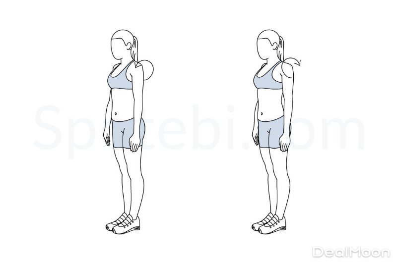 shoulder-rolls-exercise-illustration.jpg