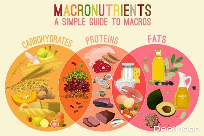 macronutrients-featured