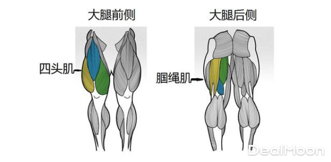 aba1a9b2740a766ba8fe6a3.png_800_0_40_9357.png