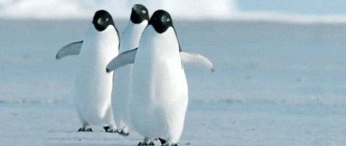 e4cfeddd4441357acee462b.gif