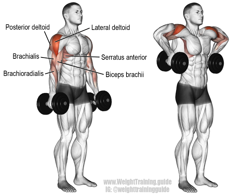 dumbbell-armpit-row-2