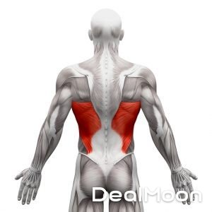 Fotolia_110740543_S-300x300