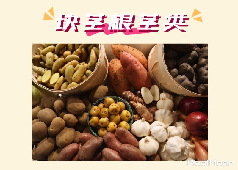 块茎类主食