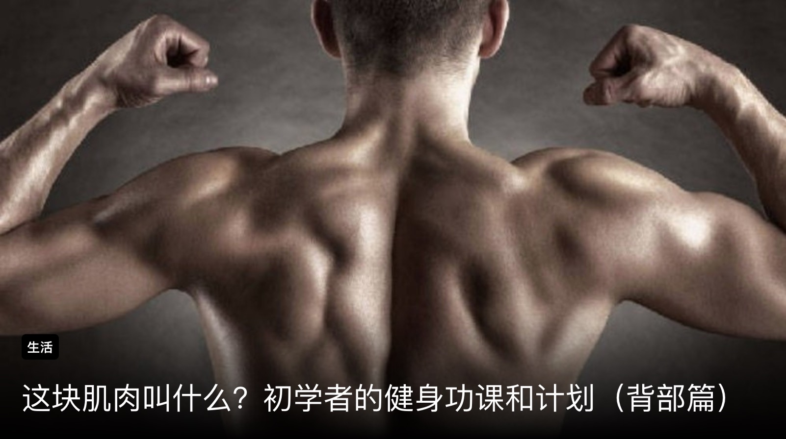 c31c90860b39575037acc4c.jpg