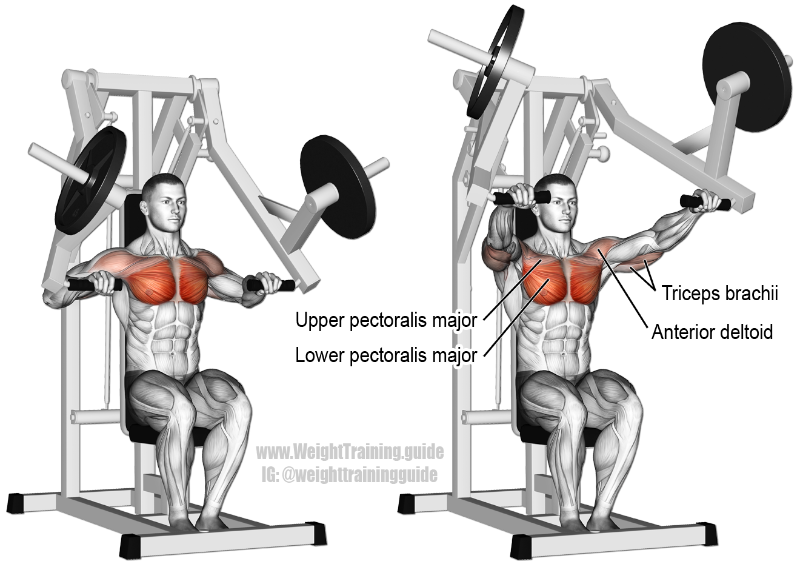 machine-chest-press