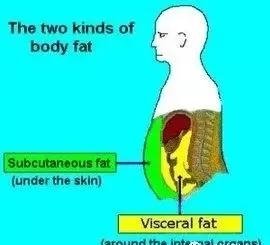 487ba70f9c6c49a37ab50ff.jpg_800_0_3_3db0.jpg