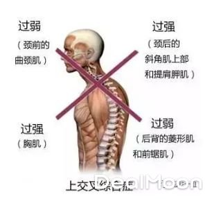 23bf523e4eee6cf51b72a35.jpg_800_0_40_c77c.jpg