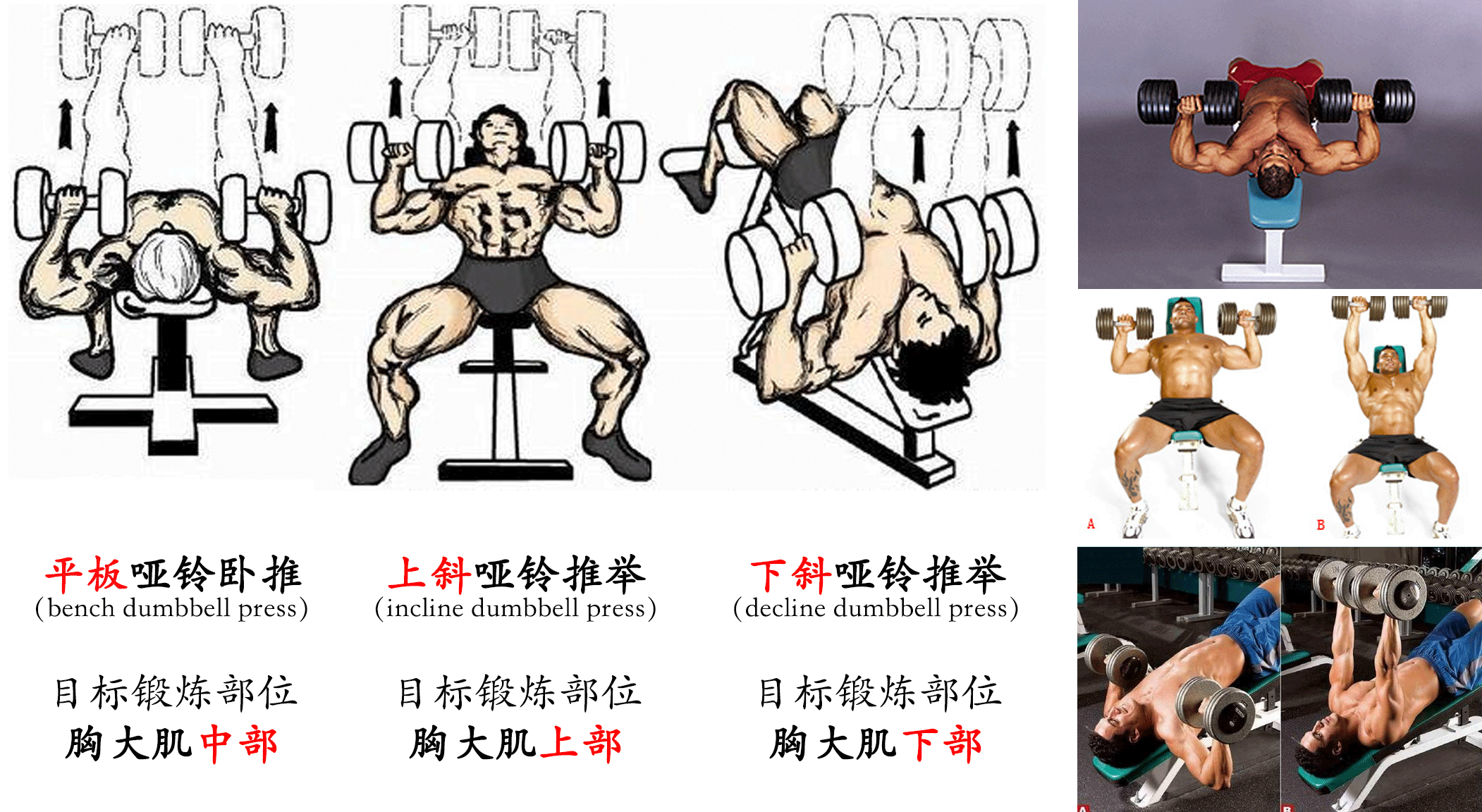 3f5332f34d6af353b3c6b8c.gif