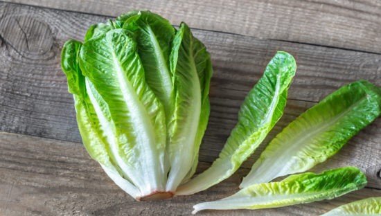 romaine1200x680-550x312