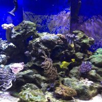 ef42cc0b0564c8d38e1ad50.jpg_200_200_2_da3e.jpg