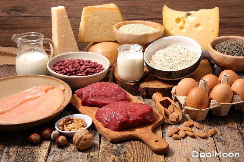 Introduction-to-Protein