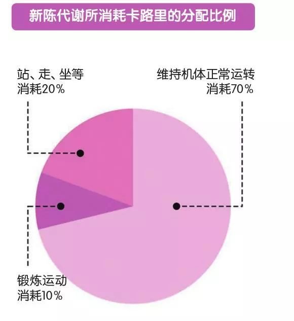 新陈代谢