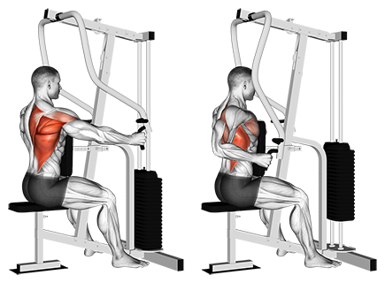 One-Arm+Seated+Cable+Row+Machine