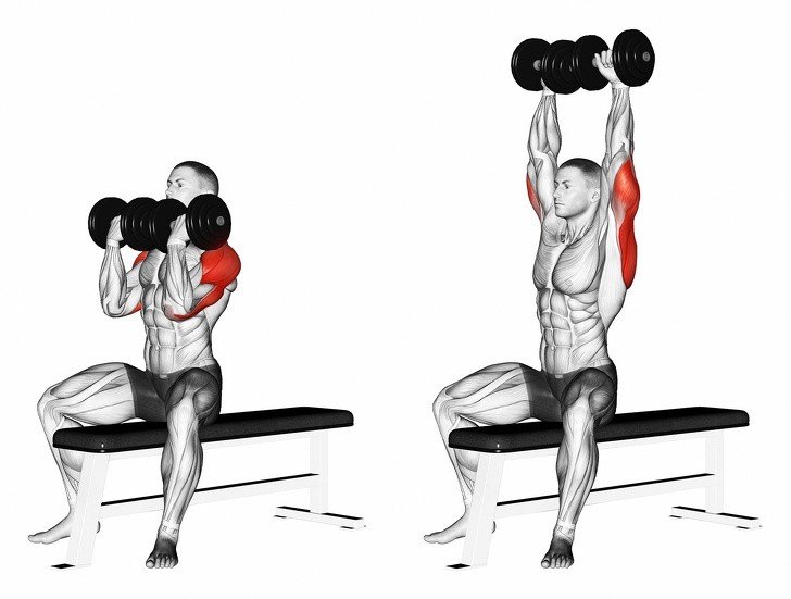 Arnold-press