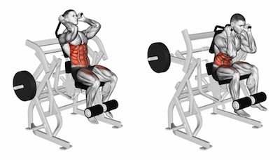 Seated+Ab+Machine